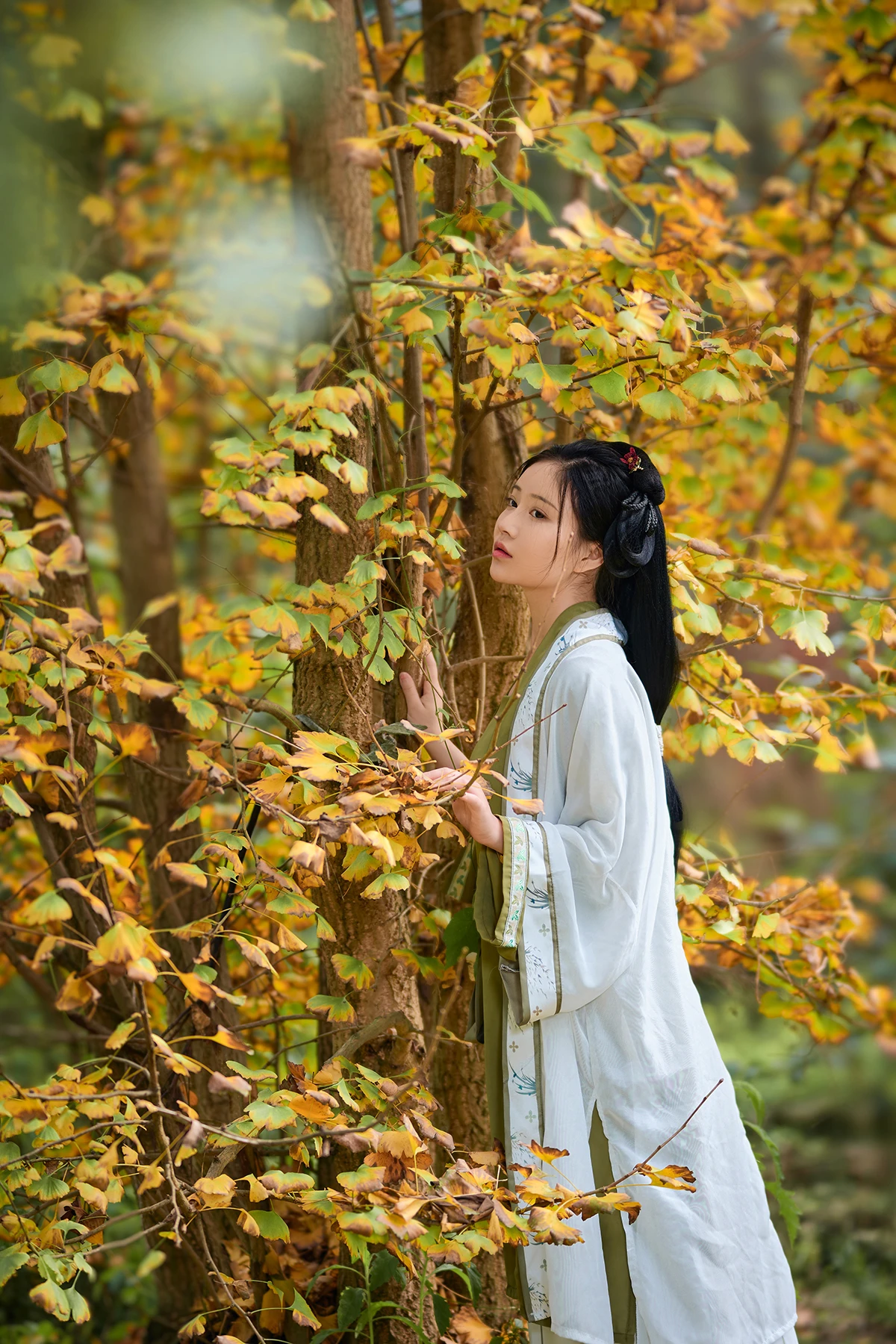 年年Nnian – 秋兮