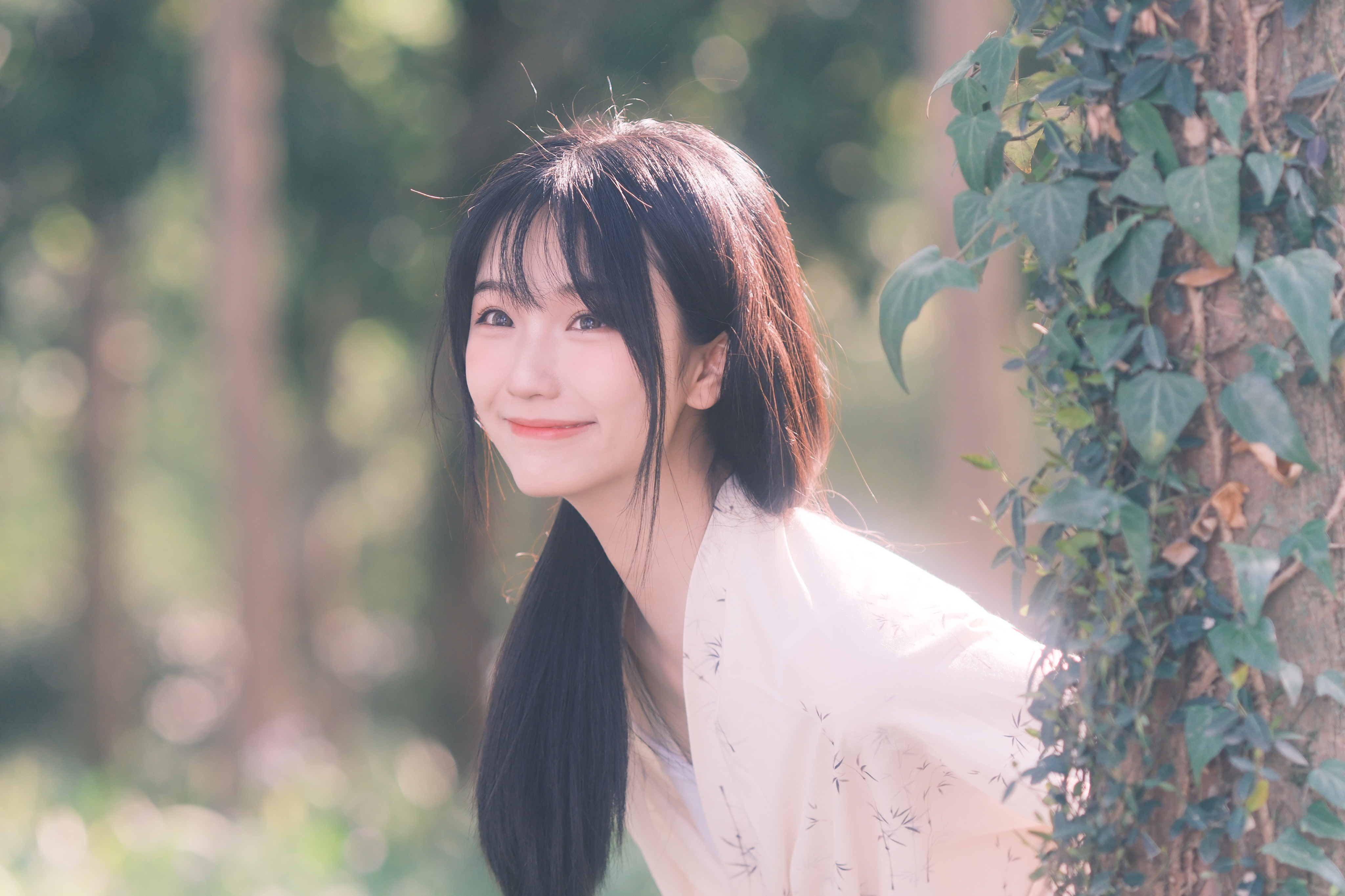 一阵风，一场梦。