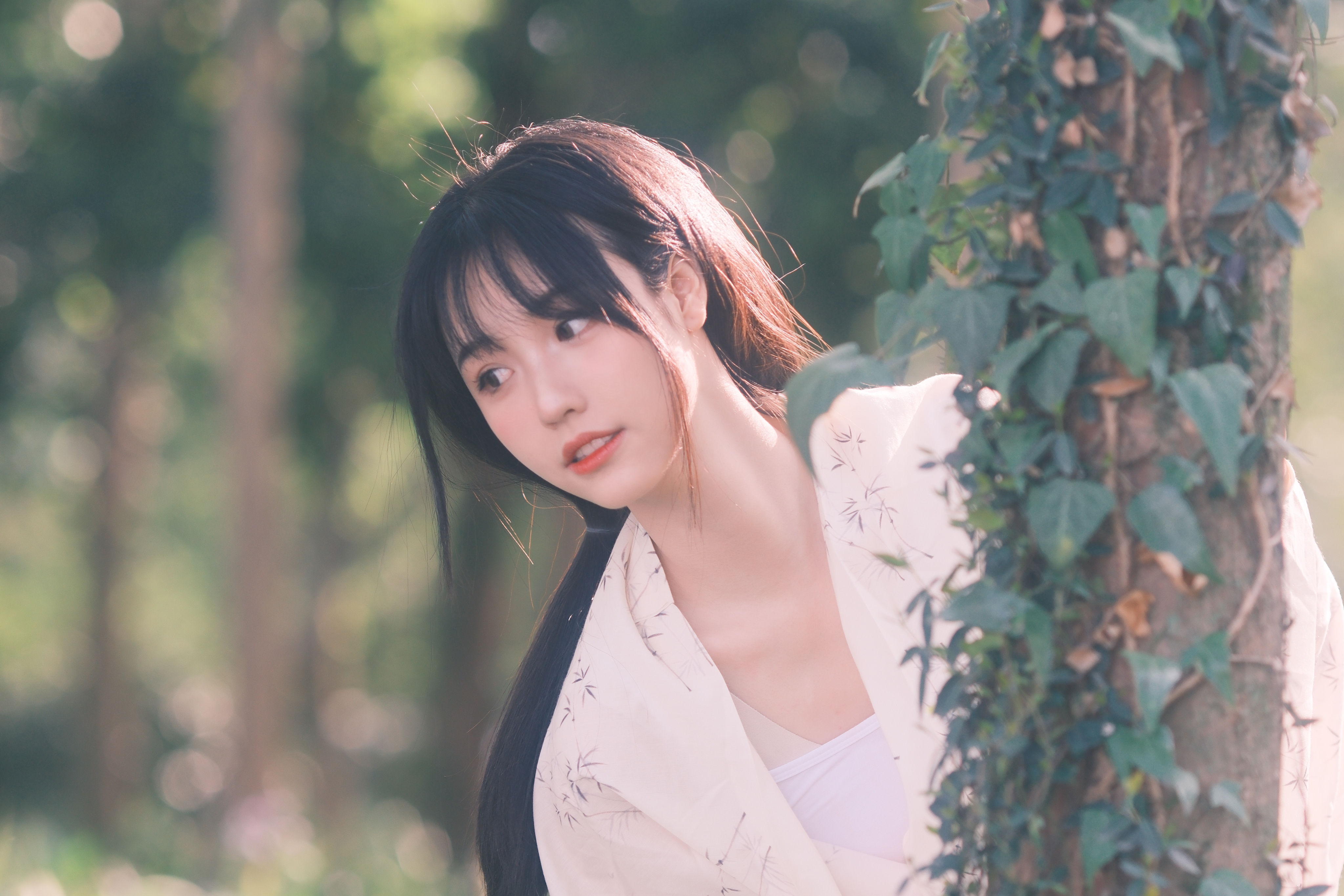 一阵风，一场梦。