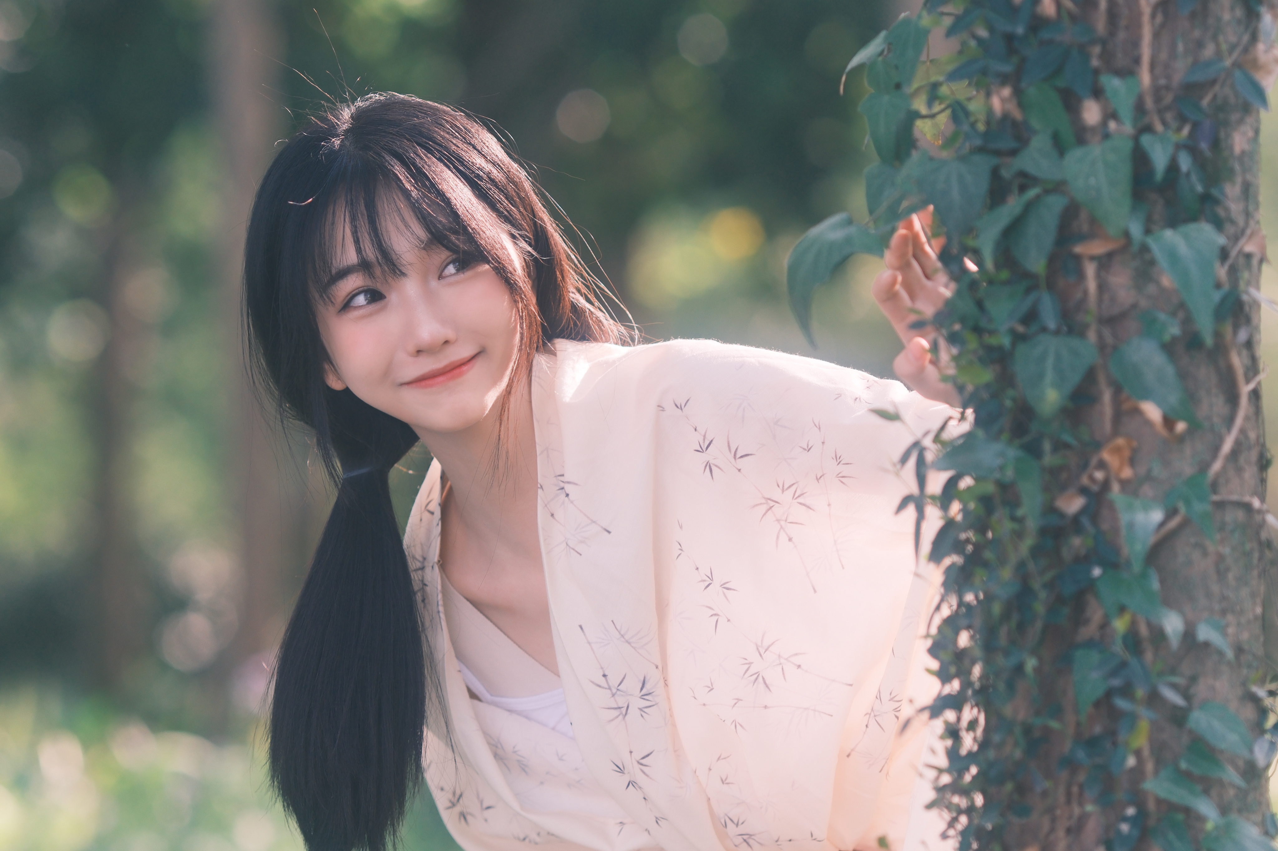 一阵风，一场梦。