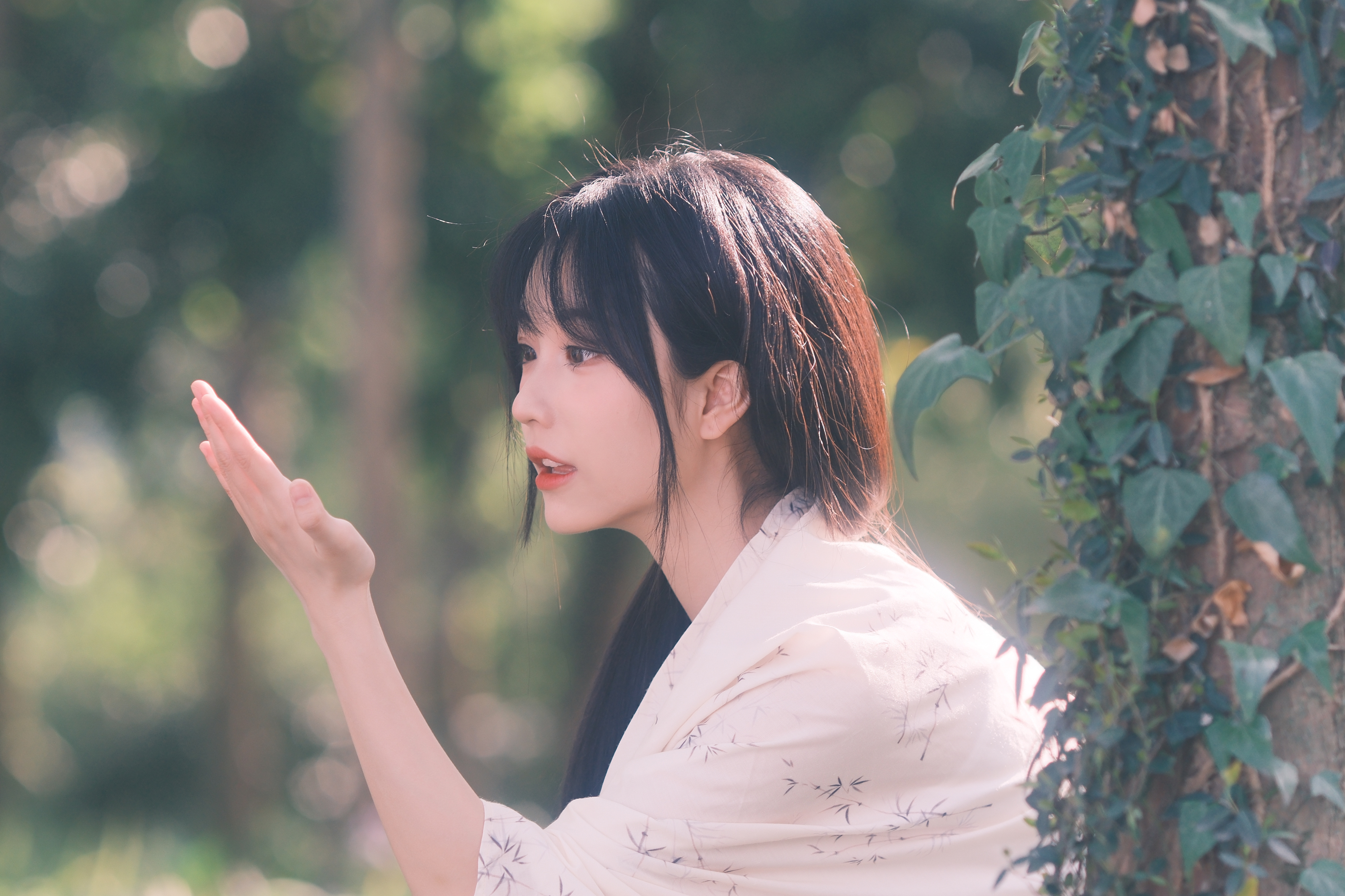 一阵风，一场梦。