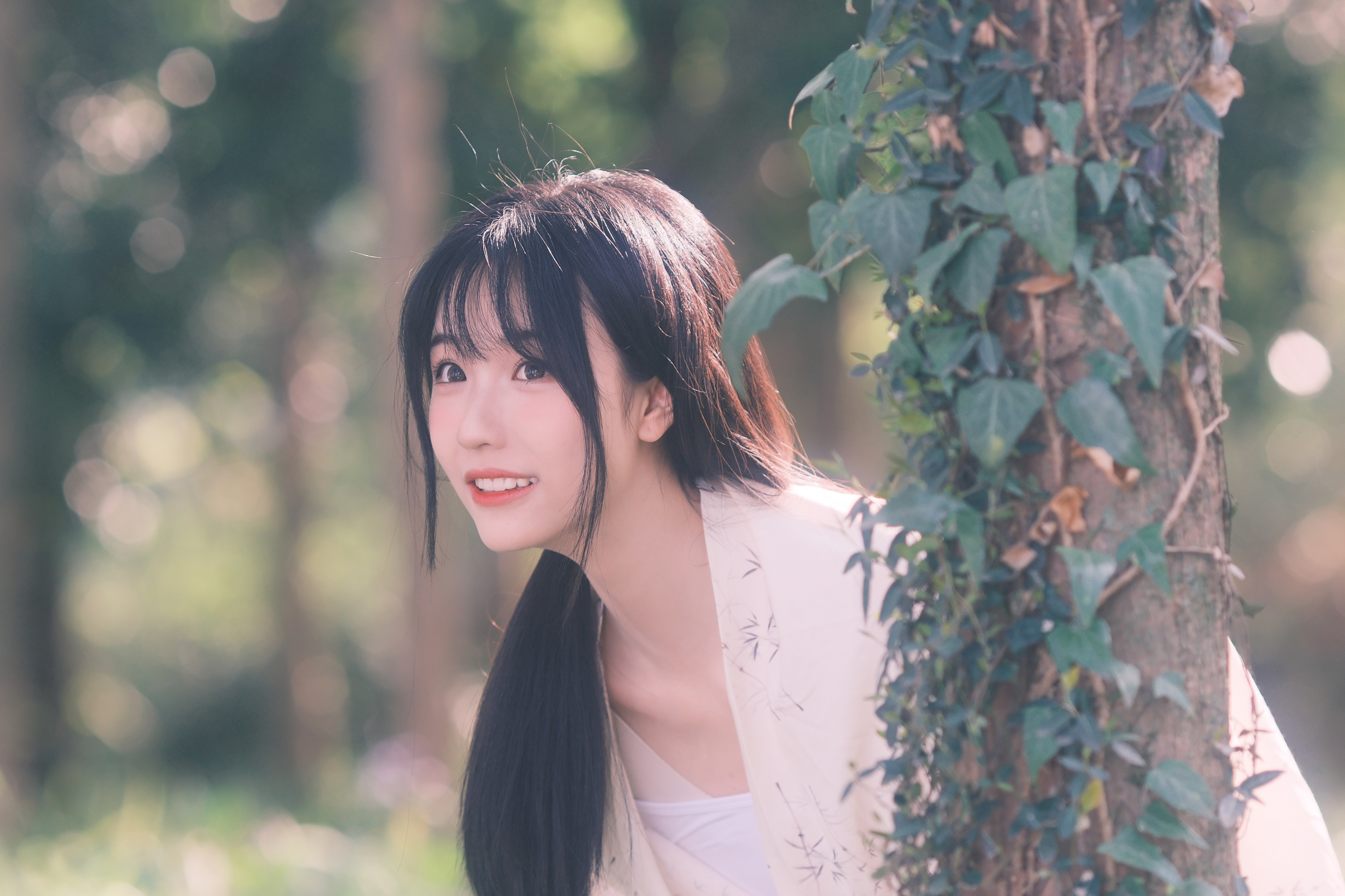 一阵风，一场梦。