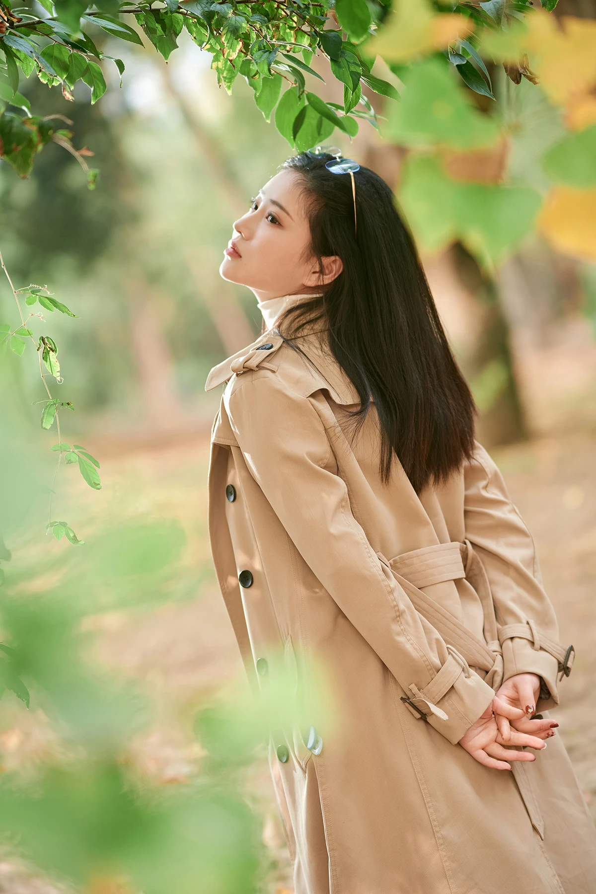 年年Nnian – 枫洄