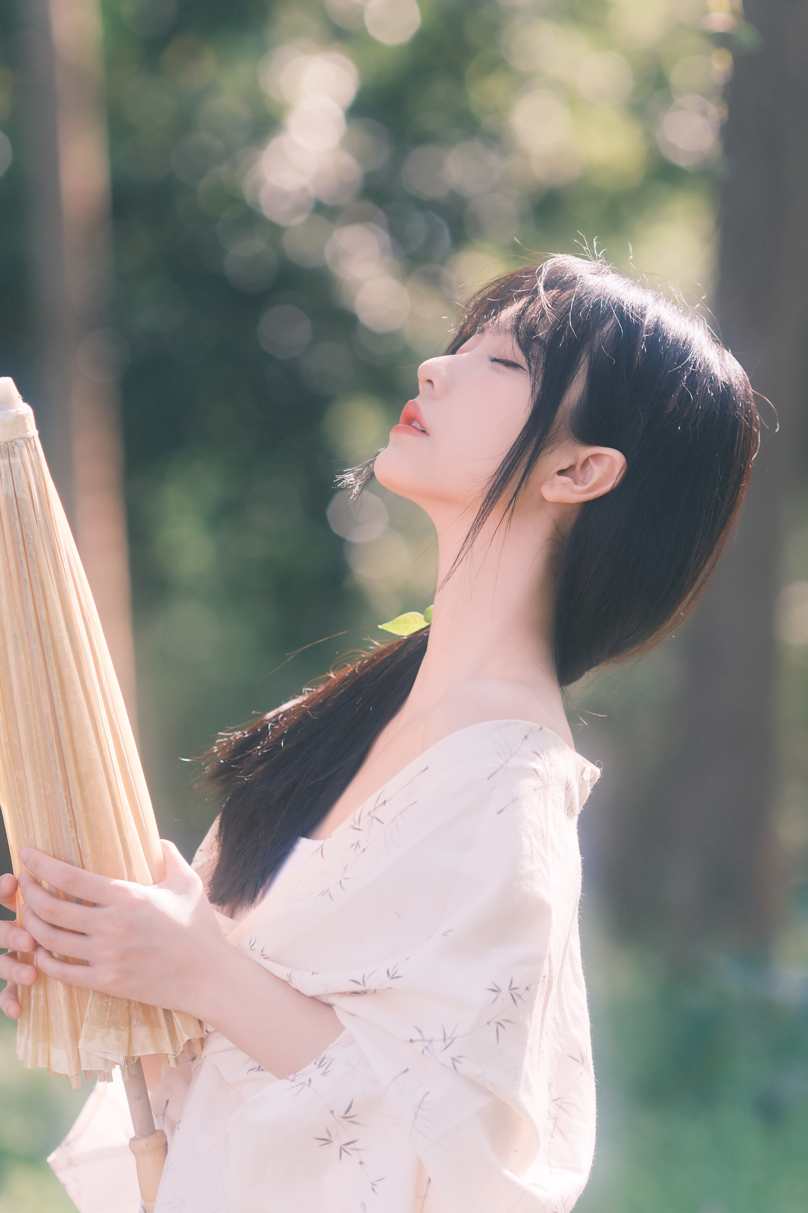 一阵风，一场梦。