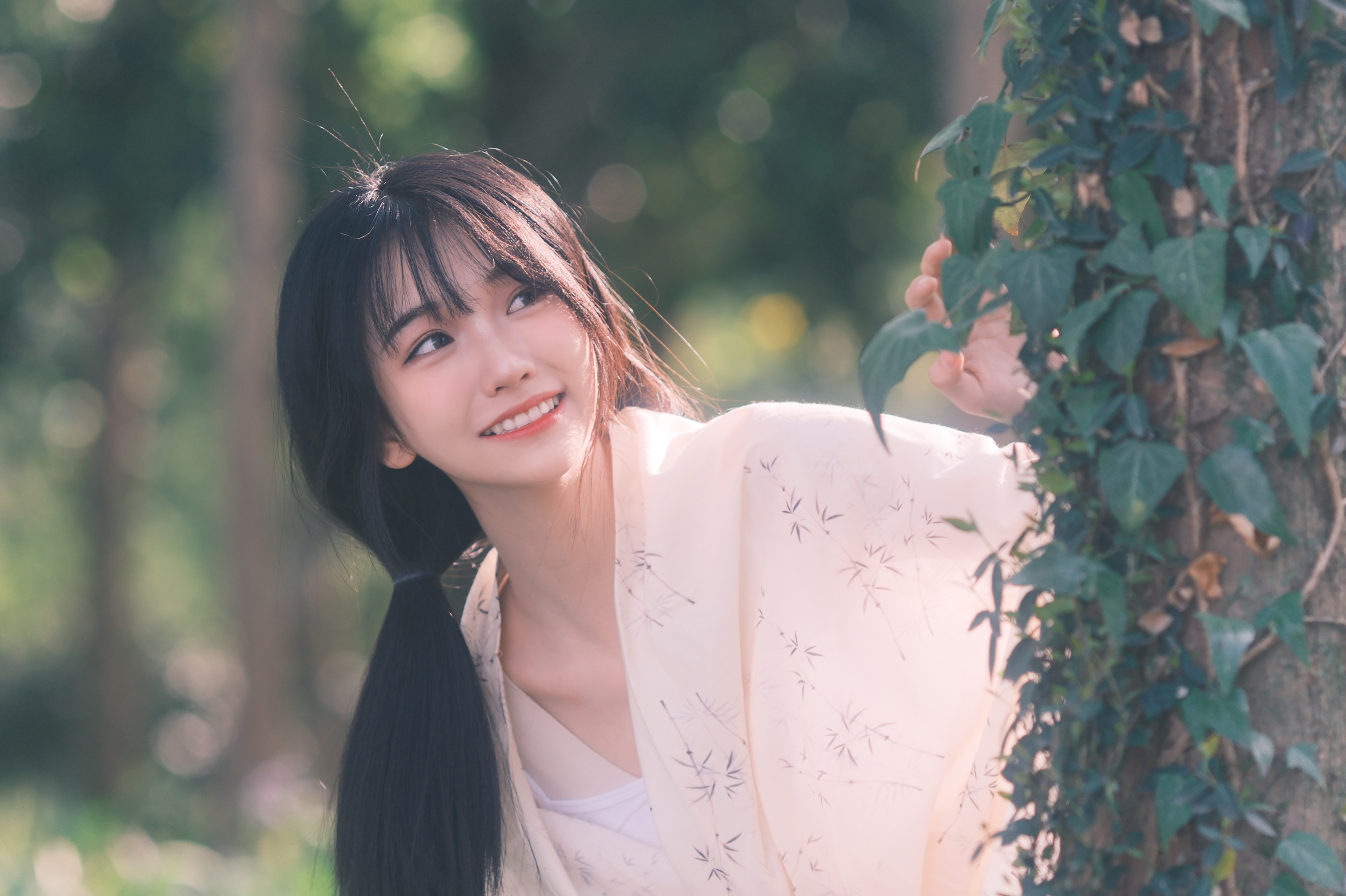 一阵风，一场梦。