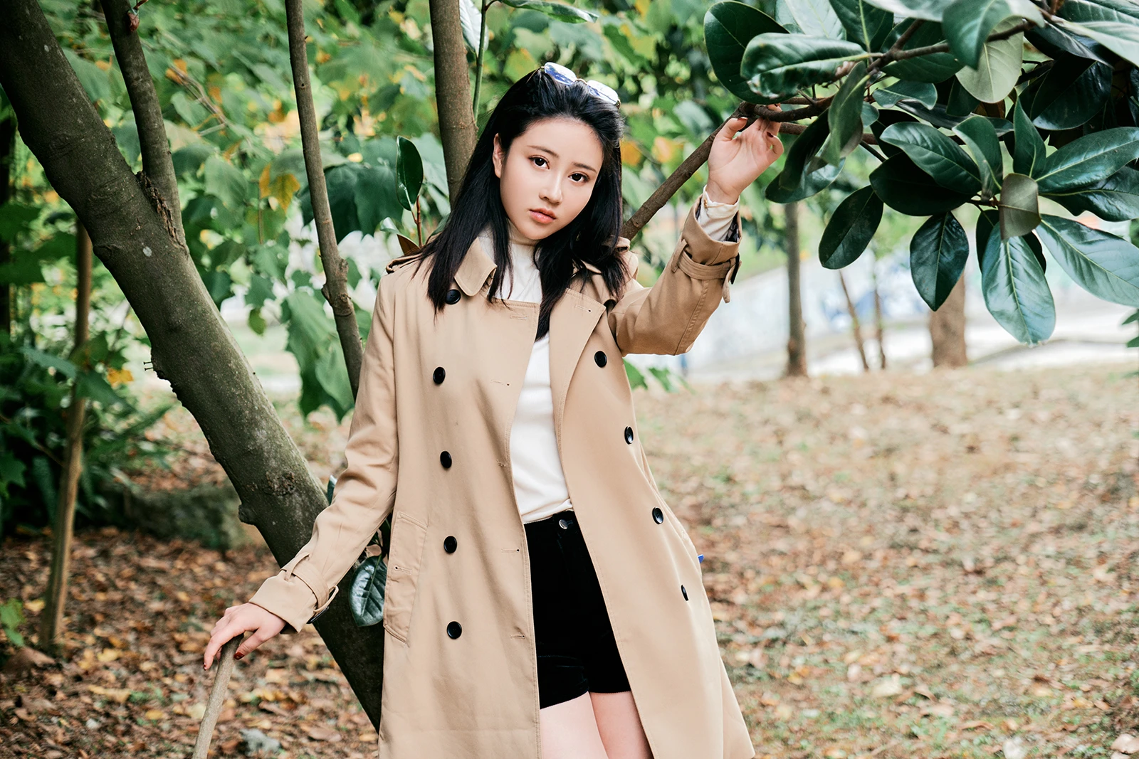 年年Nnian – 枫洄